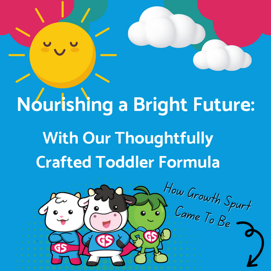 Nourishing a Bright Future: With Our Thoughtfully Crafted Toddler Formula
