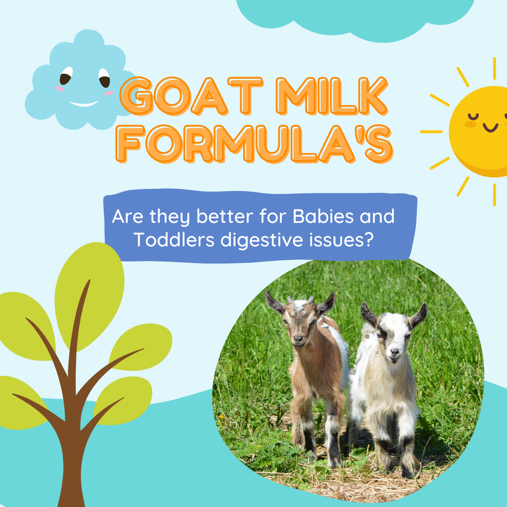 Are Goat Milk Formulas Better for Baby and Toddlers Digestive Issues?